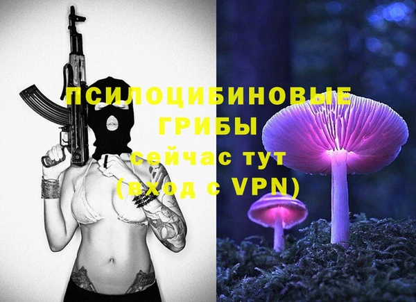 дживик Аркадак