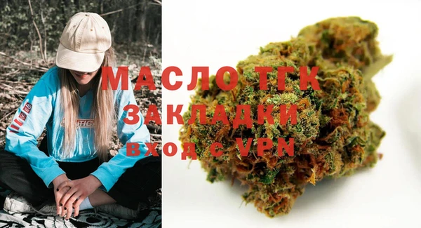 хмурый Сосновка
