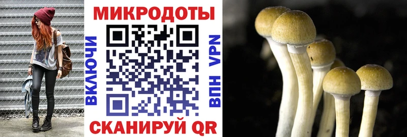 как найти закладки Дорогобуж Псилоцибиновые грибы прущие грибы
